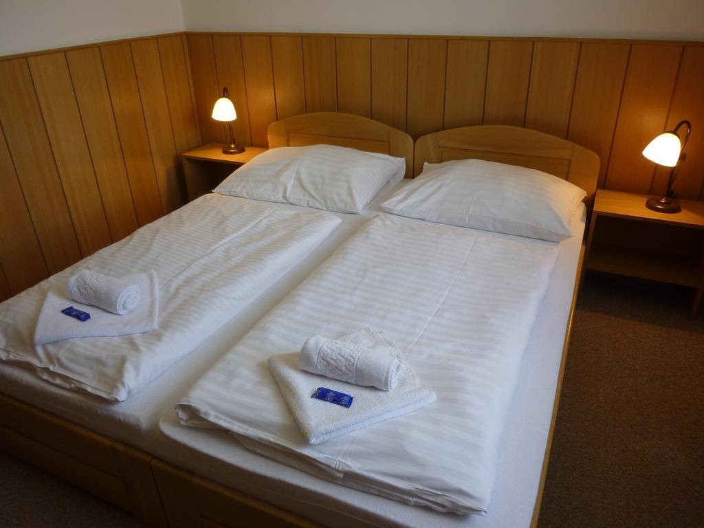 Penzion Barborka Hotel โรกีนีซ นัด ยีเซอโร ห้อง รูปภาพ